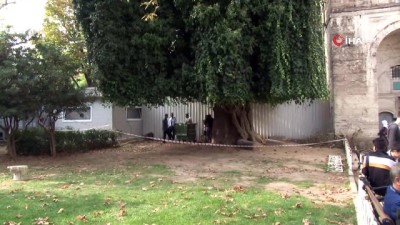 intihar -  İntihar etmek için Sultanahmet Camii'ndeki ağaca çıktı, dal kırılınca böyle düştü Videosu