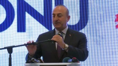 Bakan Çavuşoğlu: '(Cumhurbaşkanlığı Hükümet Sistemi) Yeni bir sayfa açtık' - SAKARYA