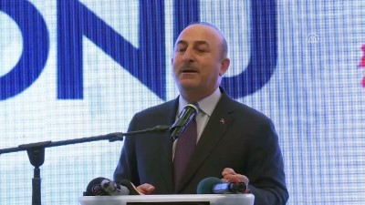 Bakan Çavuşoğlu: 'Kıbrıs çaresiz değil' - SAKARYA