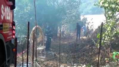 yangina mudahale - Kumluca'da iki ayrı orman yangını - ANTALYA Videosu