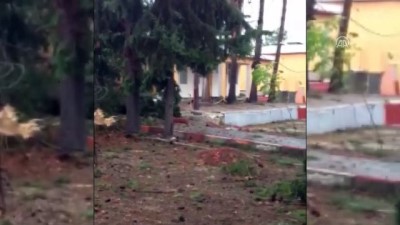 siddetli ruzgar - Şiddetli rüzgar nedeniyle ağaçlar ve elektrik direkleri devrildi - ADANA Videosu