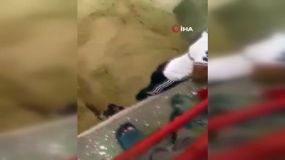 sivil savunma -  - Ürdün’de sel felaketi:  14 öğrenci öldü Videosu