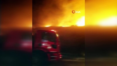makilik alan -  Bodrum’da makilik yangınında 5 hektarlık alan kül oldu  Videosu