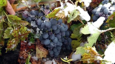 sonbahar - Doğu Anadolu'da kar yağışı - ERZİNCAN  Videosu