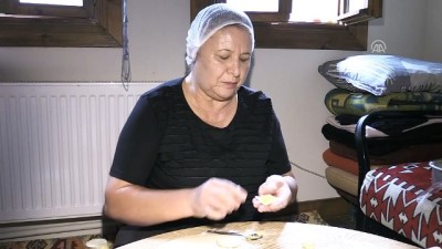 yabanci turist - Kafkas geleneklerini 'kültür evi'nde yaşatıyorlar - ESKİŞEHİR  Videosu