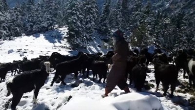 Kar yağışı hayvanlarını otlatan çifti hazırlıksız yakaladı - KONYA