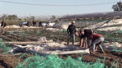 gecmis olsun - Mersin'de dolunun zarar verdiği seralarda inceleme Videosu