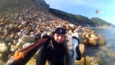 balik avi -  Milli sporcu, zıpkınıyla Karadeniz’i keşfediyor  Videosu