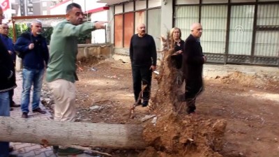 gard - Park halindeki aracın üzerine ağaç devrildi - ADANA  Videosu