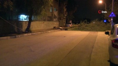 siddetli ruzgar -  Şiddetli rüzgar ağaçları devirdi elektrik tellerini kopardı  Videosu