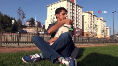 sokak kopegi -  Sahiplendiği görme engelli köpek, tek dostu oldu  Videosu
