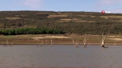 geometri -  Sazlıdere Baraj Gölünde kuşların dansı kamerada  Videosu