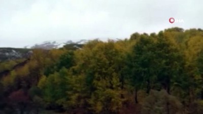 bassagligi -  Tunceli'de şehit sayısı 2’ye yükseldi  Videosu