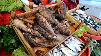 balik tezgahlari - İskorpit balık tezgahlarını süsledi - ZONGULDAK Videosu