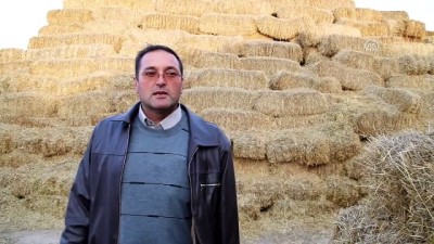 ithal saman - 'Saman ithal ediliyor' sözlerine üreticiler tepkili - KIRŞEHİR Videosu