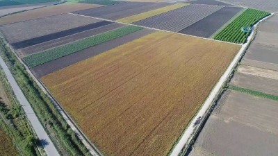joker -  Adana'da soya hasadı başladı...Hasat havadan görüntülendi  Videosu