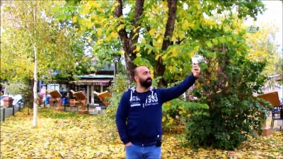 sonbahar -  Kaldırımlara düşen sarı yapraklar vatandaşlara görsel şölen yaşatıyor  Videosu