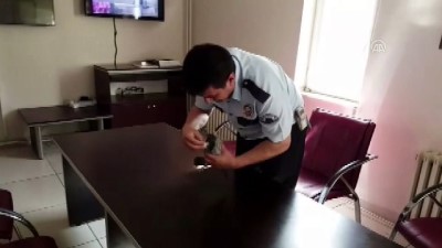 yarali guvercin - Dikenli tele takılan güvercini polisler kurtardı - ADIYAMAN  Videosu