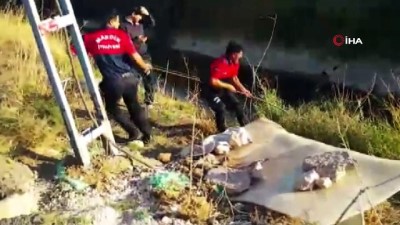  Tüfekle vurulan ve sulama kanalında mahsur kalan köpek itfaiye ekipleri tarafından kurtarıldı