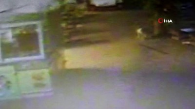 temizlik gorevlisi -  AVM’de bebek cesedi şoku... Sokak köpeğinin bebek cesedini taşıma anı kamerada Videosu