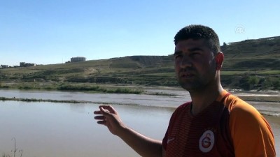 Cizre’de nehrin ortasında mahsur kalan eşek kurtarıldı - ŞIRNAK 