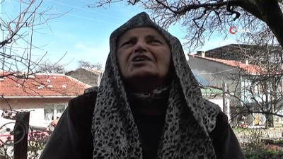 emekli maasi -  Küçük yaşta annesini kaybeden kadın kendisini sokak kedilerine adadı  Videosu