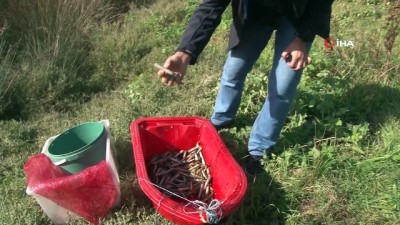 polis karakolu -  Suçüstü yakalanan kaçak midye avcılarının söyledikleri şoke etti  Videosu