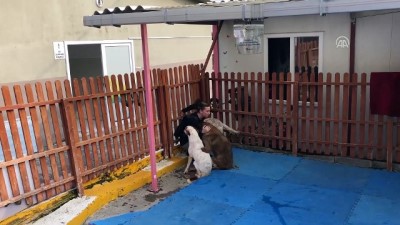 basin aciklamasi - 4 Ekim Dünya Hayvanları Koruma Günü - İSTANBUL  Videosu