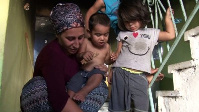  Anne ve 3 çocuğunu yangından kurtaran 'Cesur' sadece havlamamış, kahvehaneye gidip vatandaşları paçalarıdan tutup yangın bölgesine götürmüş
