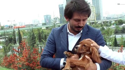 Genç Ensar'dan 'Hayvanları Koruma Günü' mesajı - İSTANBUL