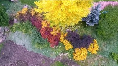 kusburnu -  Hazan mevsiminde vatandaşların ilgi odağı Ata Botanik Parkı, havadan görüntülendi  Videosu