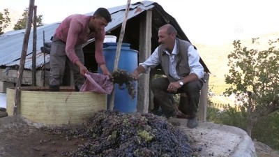 eziler - Kazanlar, İskambo pekmezi için kaynıyor - SİİRT  Videosu