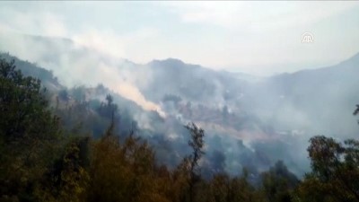 yangina mudahale - Orman yangını - MERSİN Videosu