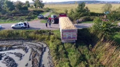 gubre -  Sinop’ta çeltik hasadına başlandı  Videosu