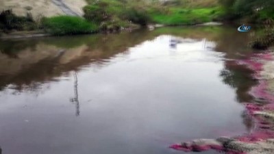 leman -  Tekirdağ'da kırmızı akan dere normale dönüyor  Videosu