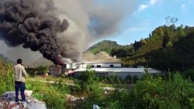  Trabzon'da süt ürünleri imalatı yapan fabrikada korkutan yangın 