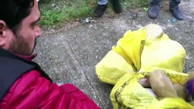 harekete gec -  Bolu’da durdurulan tırdan 50 kilo esrar çıktı  Videosu