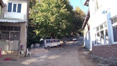 buyukbas hayvanlar -  Bursa’da ayılar onlarca ineği parçalayıp toprağın altına gömdü Videosu