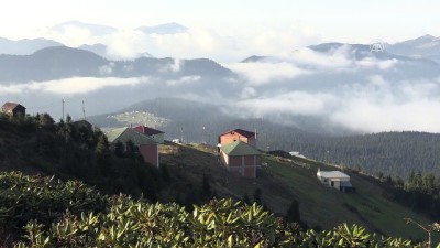 sili - Karadeniz yaylalarında güz vakti - GÜMÜŞHANE  Videosu