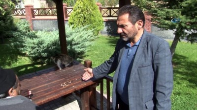 petrol -  Mahalle muhtarını çıldırttılar  Videosu