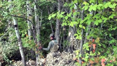 kucuk kiz - Minik Evrim mağarada arandı - TOKAT  Videosu