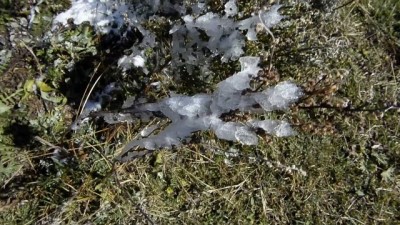 Ardahan'da mevsimin ilk karı yağdı 
