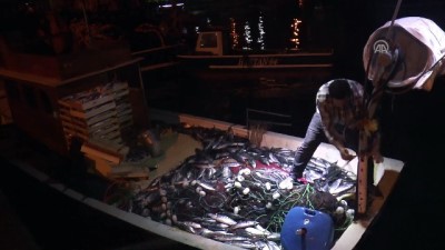 Batı Karadeniz'deki balıkçıların gece mesaisi - DÜZCE 