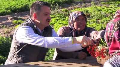 kredi destegi - Bakan Pakdemirli, devletten destek alan çiftçilerle buluştu (1) - ANKARA  Videosu