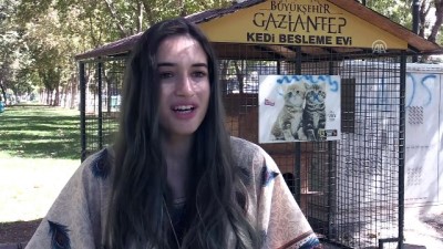 Gaziantep sokaklarının kedileri İtalyan Lucato'ya emanet 