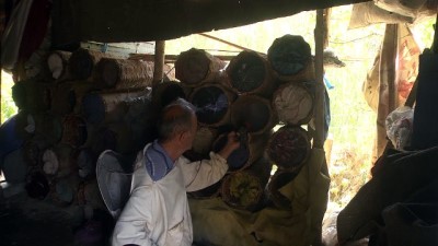 gesi - Karakovan balı hasadı başladı - HAKKARİ Videosu
