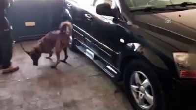 gizli bolme - 20 kilo 810 gram eroin ele geçirildi - MALATYA  Videosu