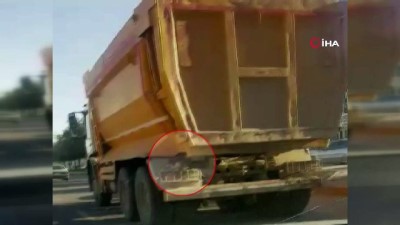 davetsiz misafir -  Hafriyat kamyonunda davetsiz misafir...Kedi kamyona tutunarak yolculuk etti  Videosu