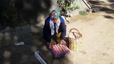 yumurta - Hibe desteğiyle iş kadını oldu - NİĞDE Videosu