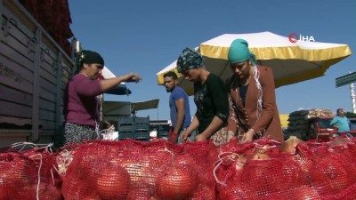 dis ticaret -  Soğan fiyatı tavan yaptı  Videosu